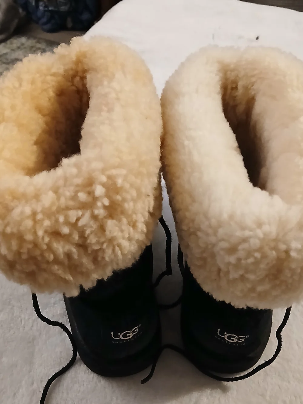UGG classic winter